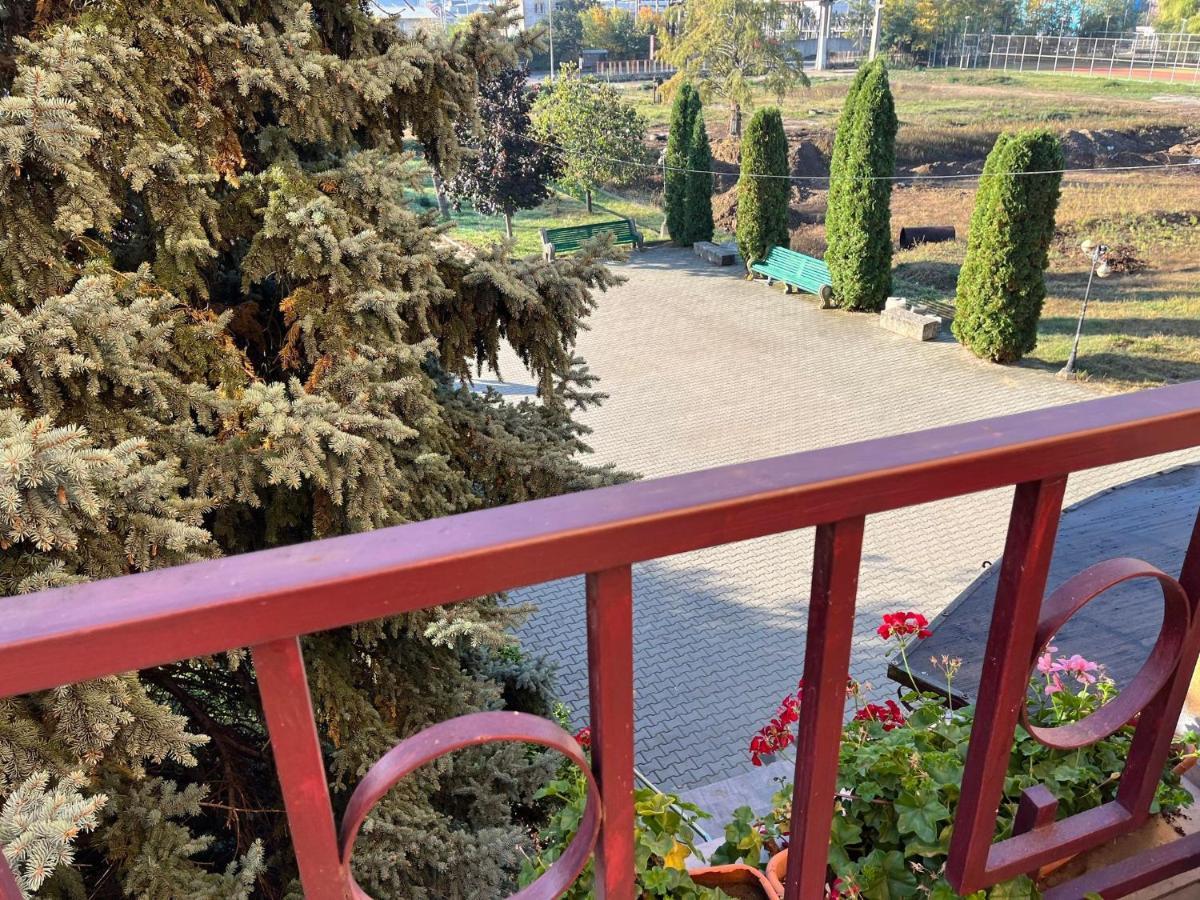 Hotel Flora Дробета-Турну-Северин Экстерьер фото